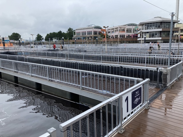 7月10日リニューアル うみファーム 横浜 八景島シーパラダイス アメリカンミリタリーフード