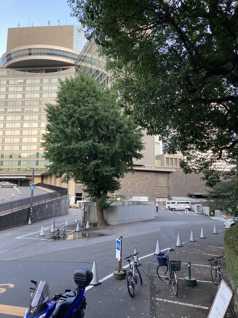 自転車・バイク駐輪場 ホテルニューオータニ東京: アメリカン 